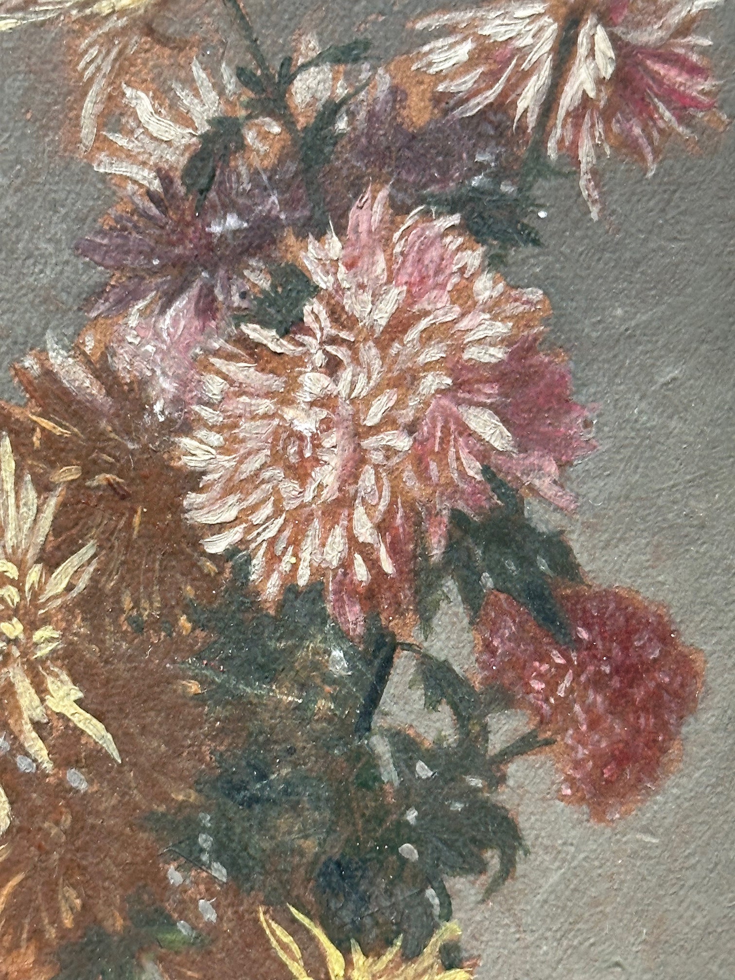 Chrysanthemum Still Life